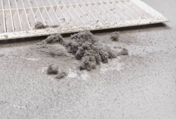 Best Duct Cleaning for Homes  in Tecumseh, NE