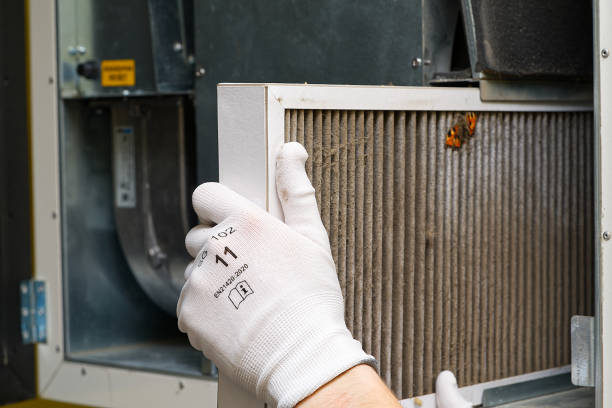 Best Affordable Duct Cleaning Services  in Tecumseh, NE
