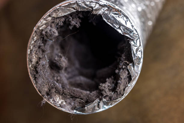 Best Home Air Vent Cleaning  in Tecumseh, NE