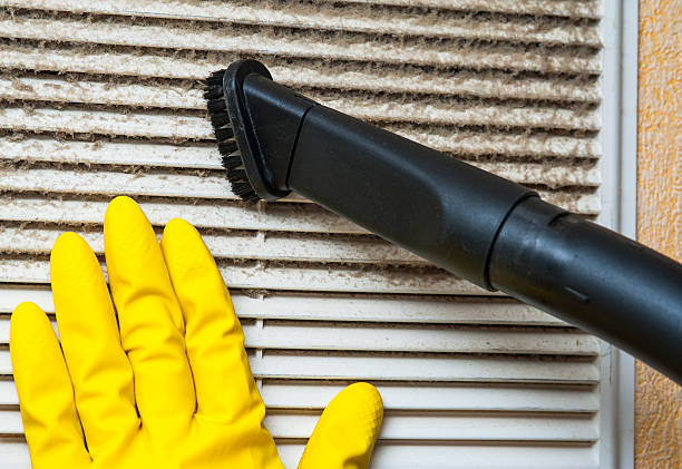 Air Duct Mold Removal in NE